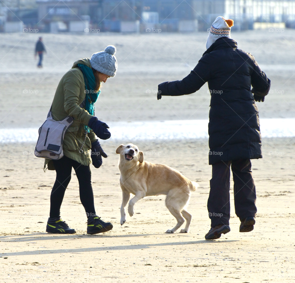 beach play dog fun by KathOnEarth