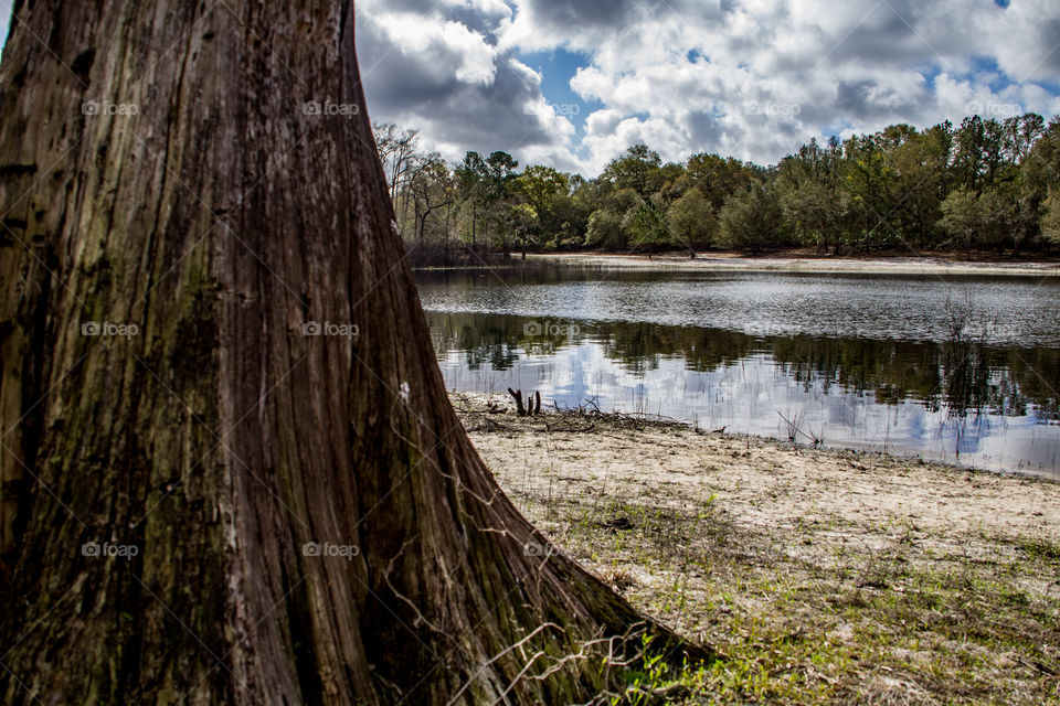 Indian Lake State Forest