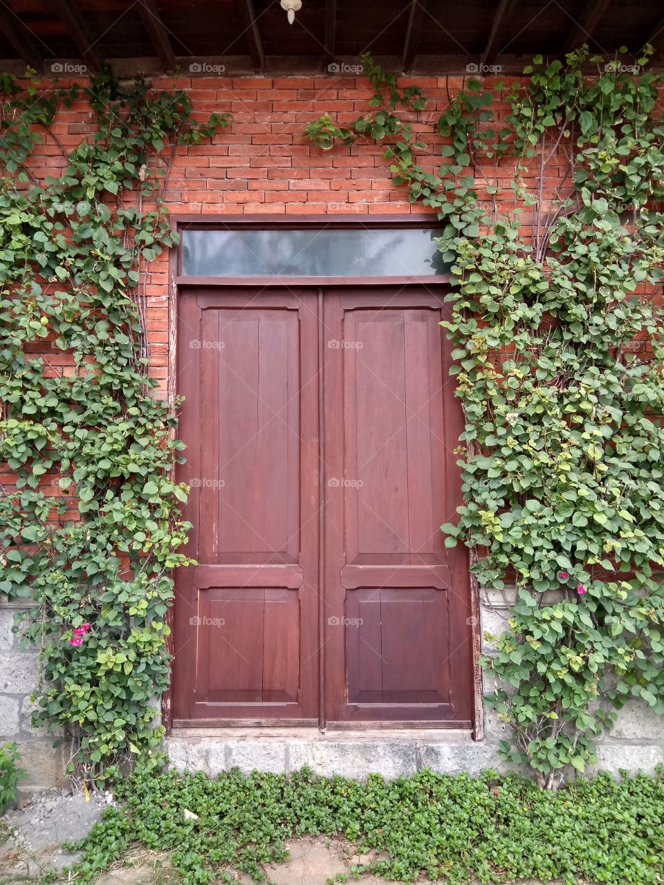 doors