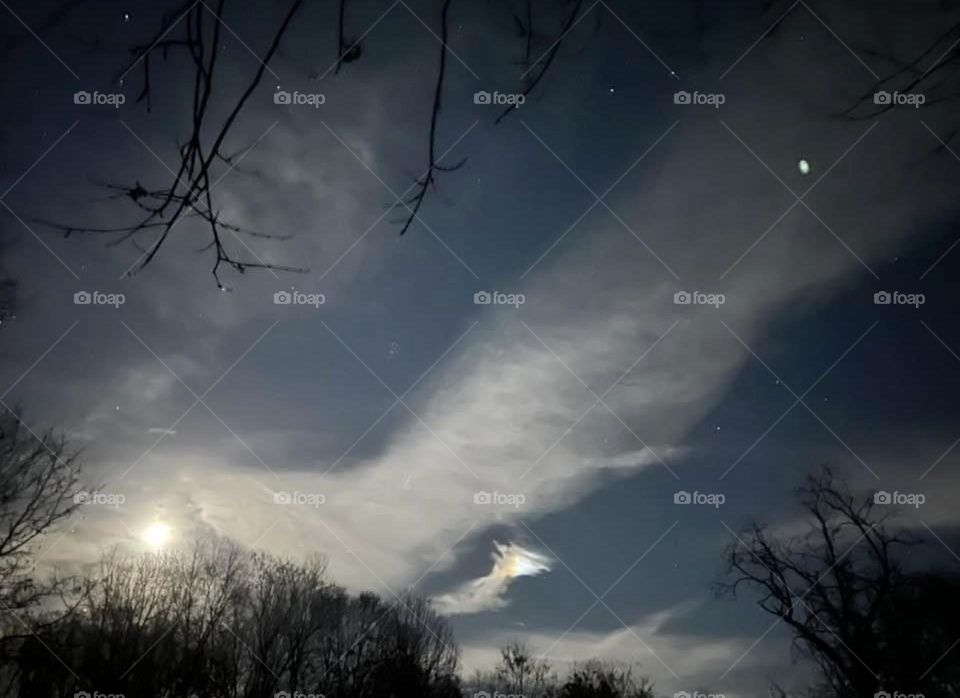 Moon shining in the night 