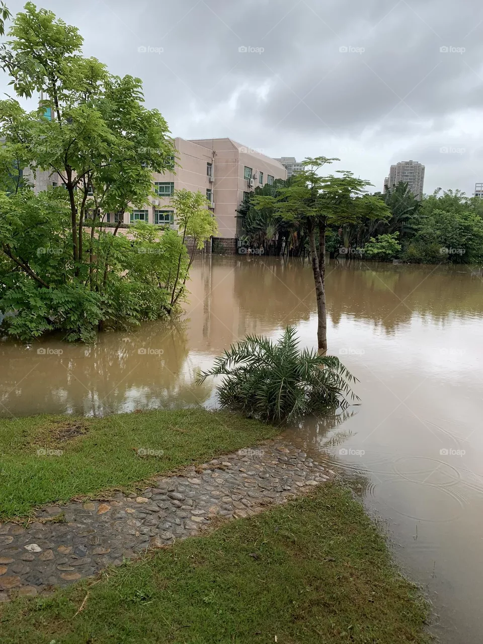Pond filled with rainwater 