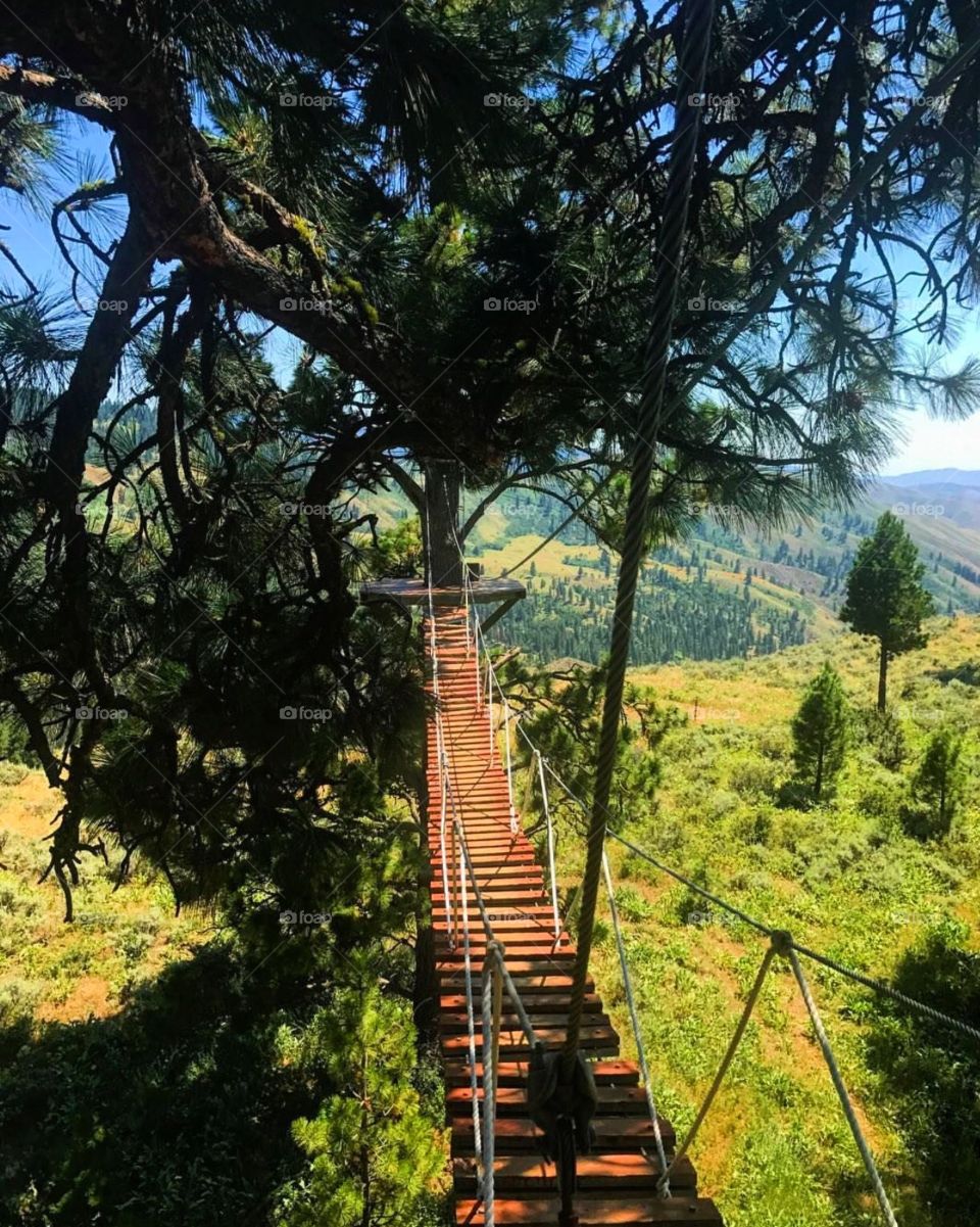 Rickety rope bridge in natural scenic Idaho mountains