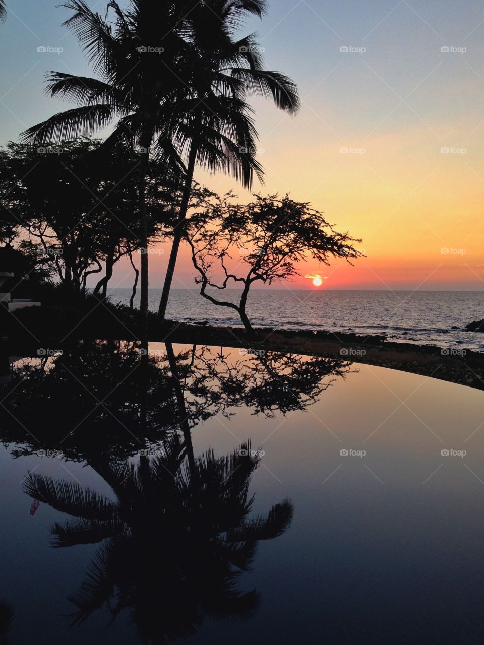 Hawaiian resort. An infinity pool at sunset on big island Hawaii. 