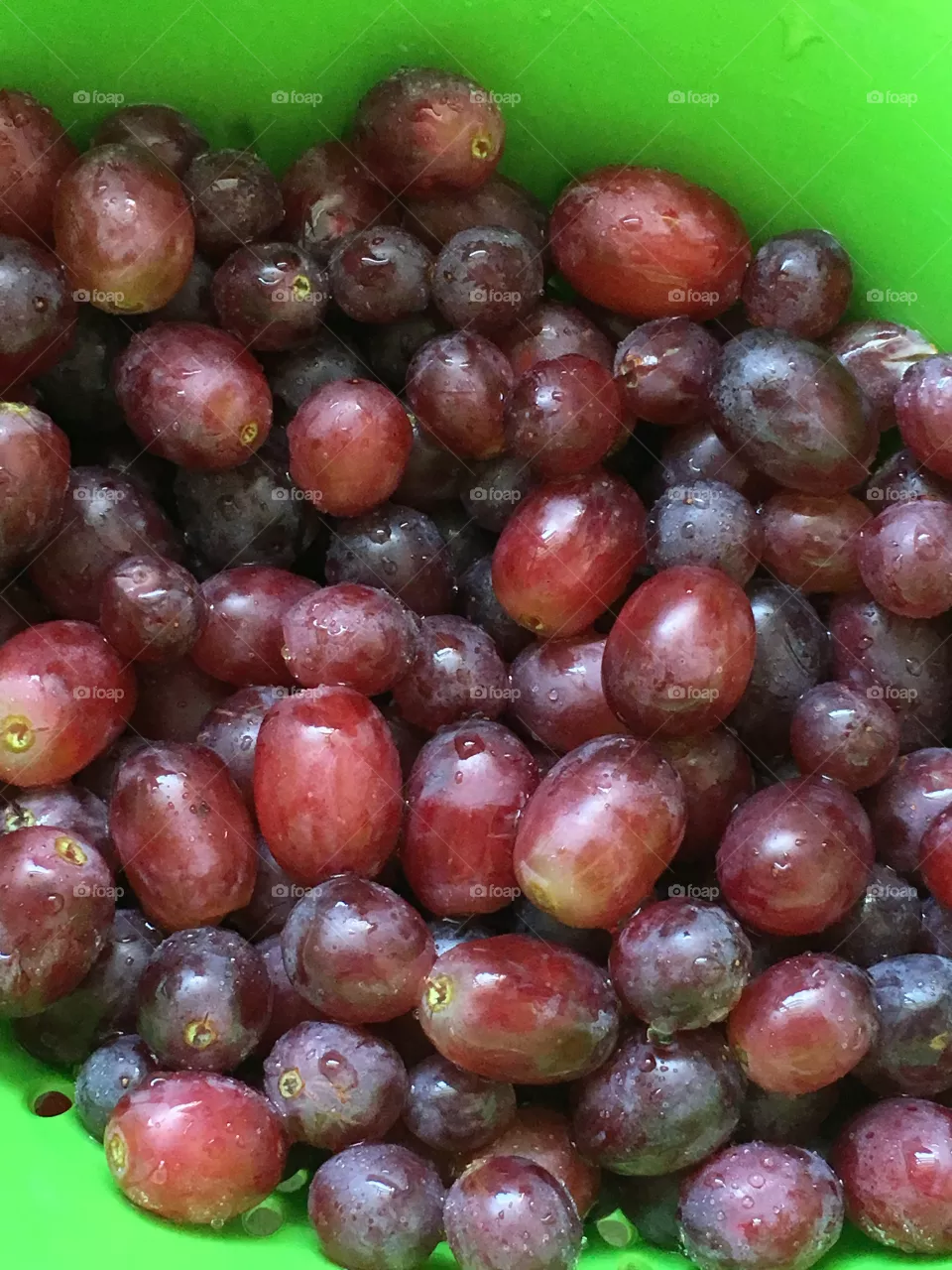 Fruit