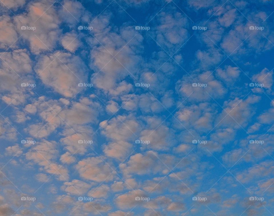 Fluffy clouds. White fluffy clouds in blue sky