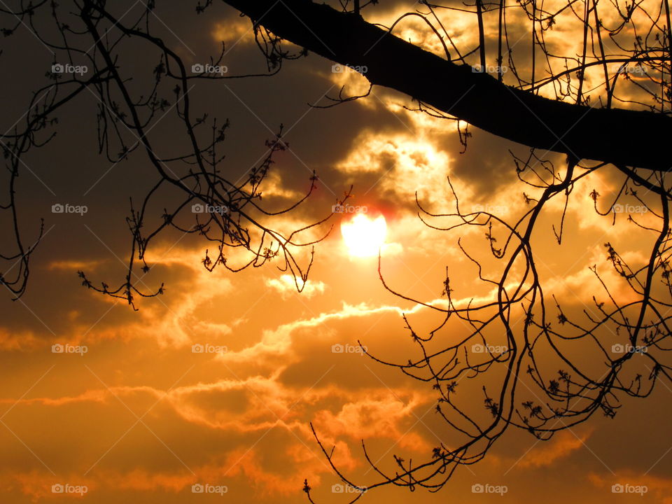 Fiery sunset