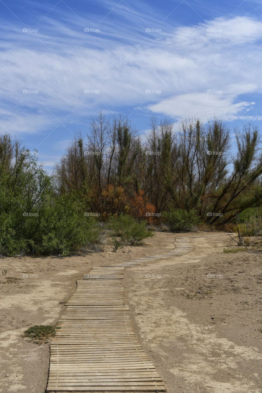 A trail with a beautiful sky background