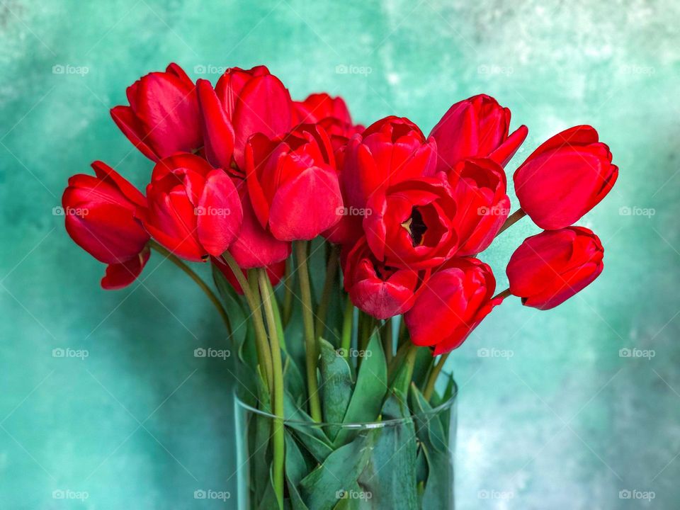 Red tulips from Grandma’s garden