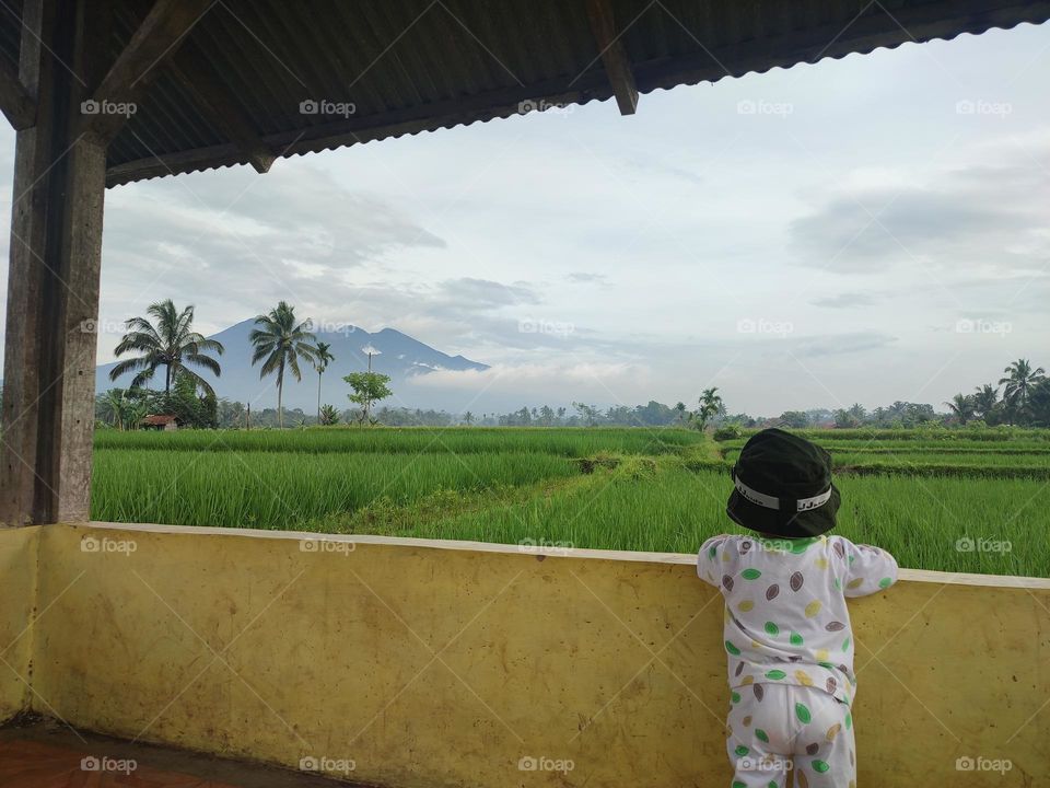 The baby is looking at the view of the rice fields and mountains that appear in the distance.  Tasikmalaya West Java, Saturday 4 February 2023