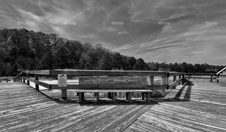 Boardwalk in Calvert Cliffs, Maryland