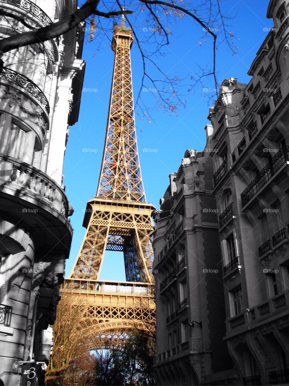 Building and tower . Eiffel Tower with old buildings on either side 