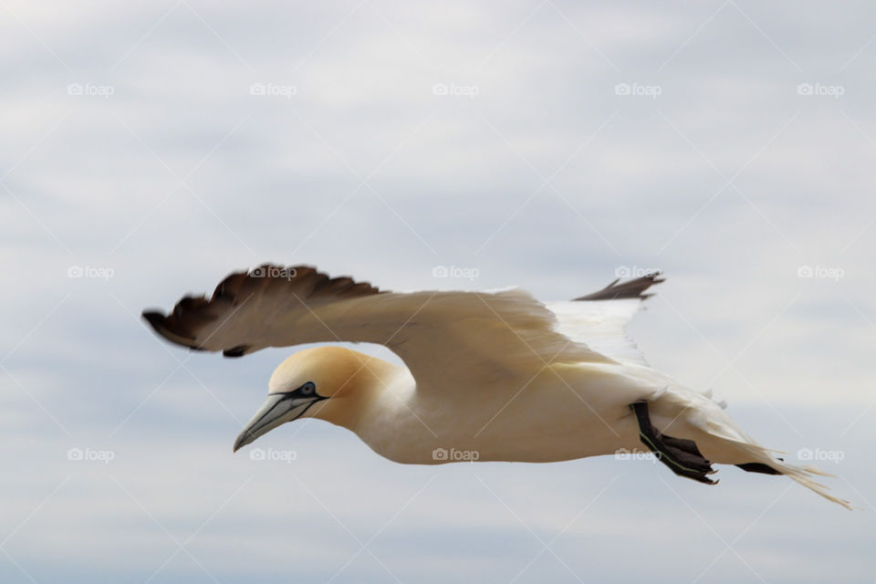 took a snapshot on my last summer vacation