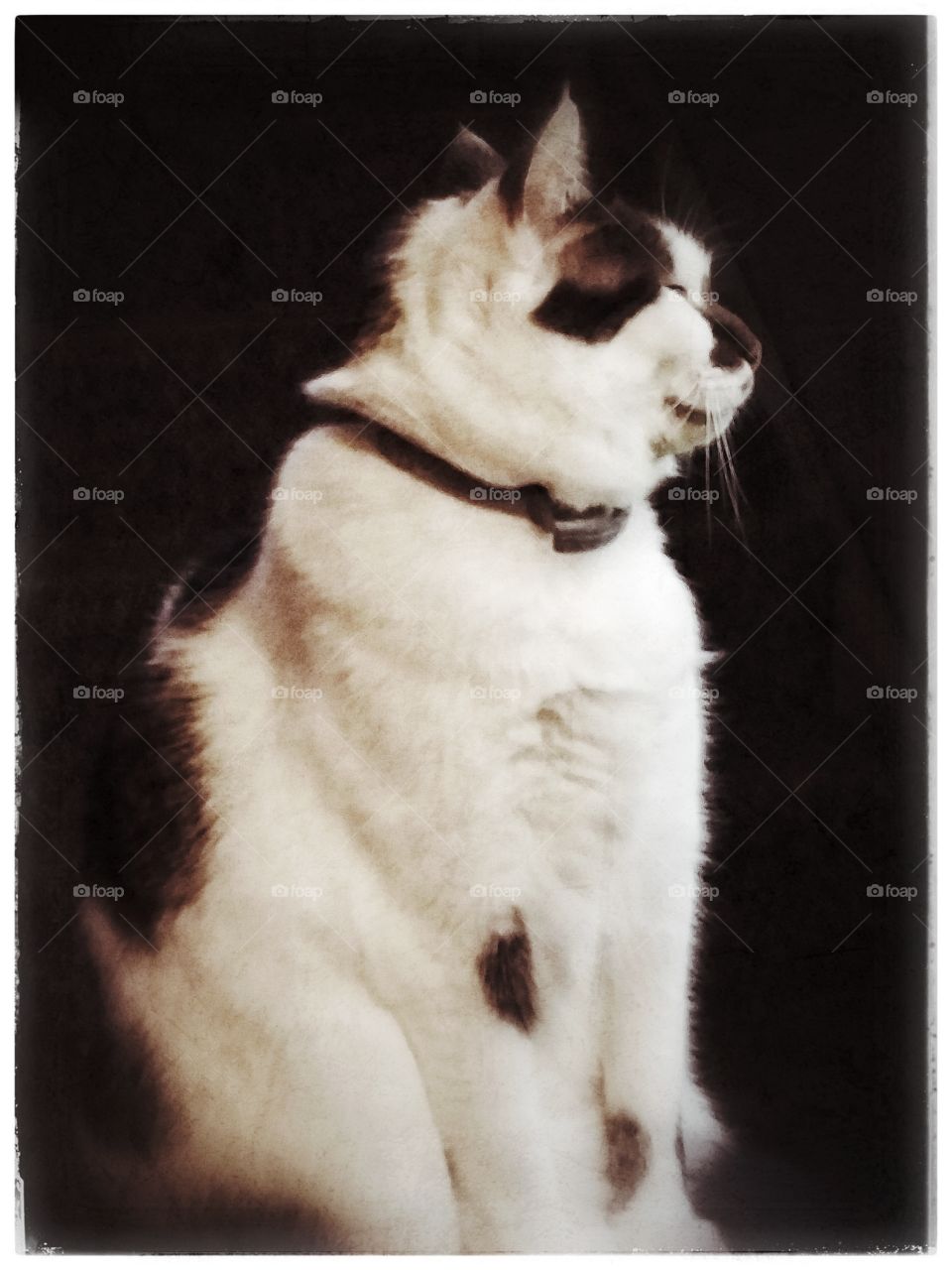 black and white profile