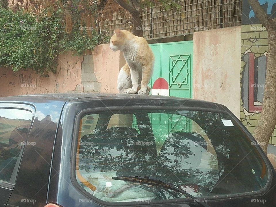 Private car.