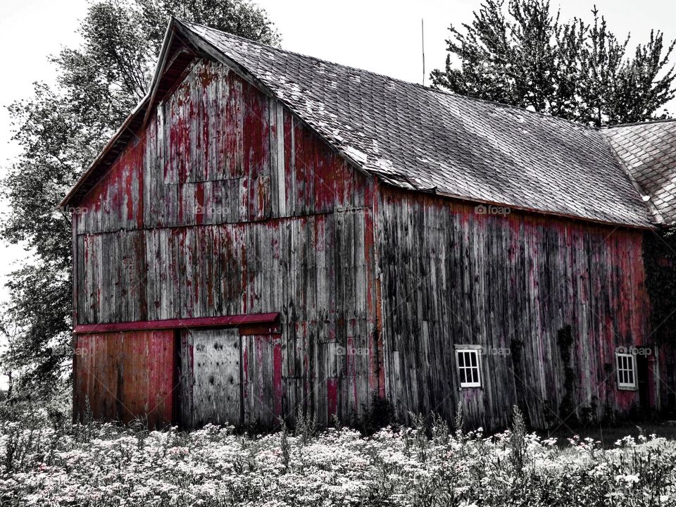 Rustic old barn. 