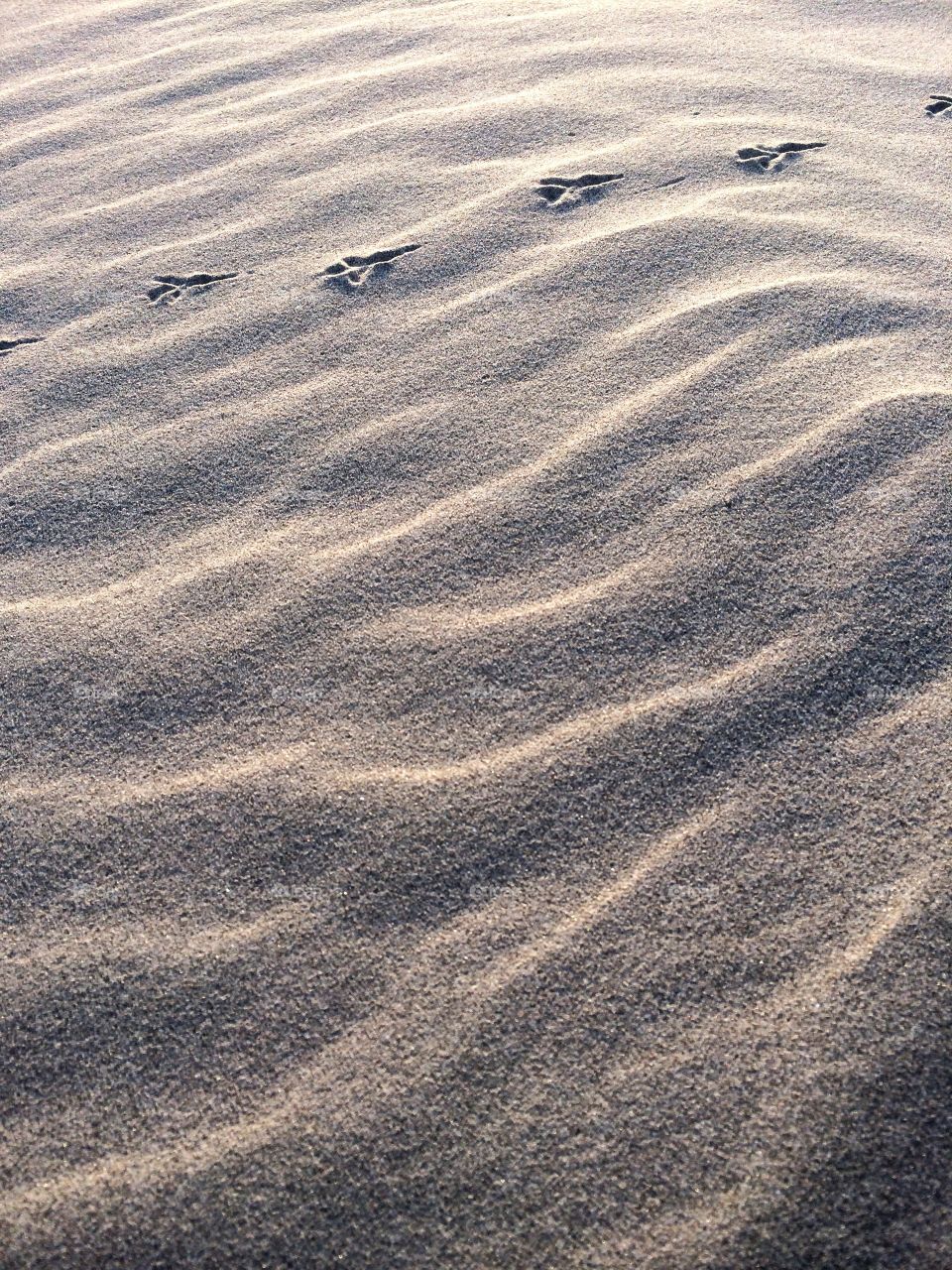 Footprints on sand waves.