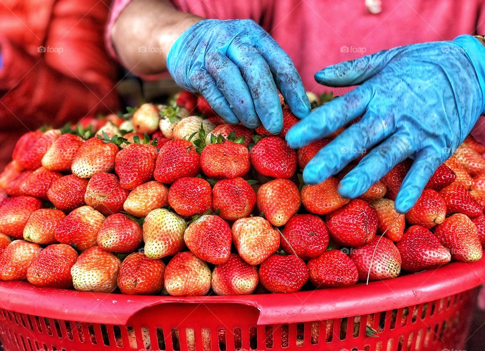 Fresh and colorful strawberry