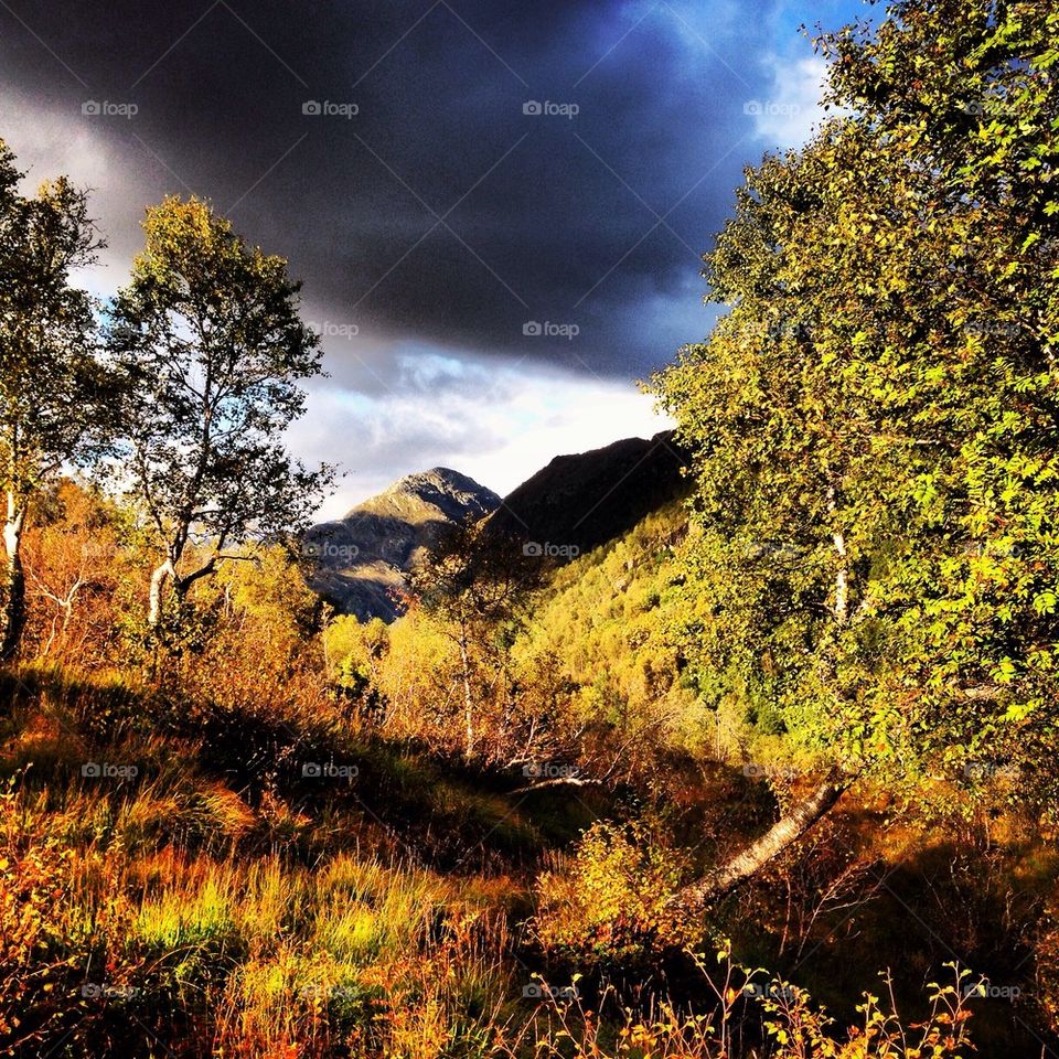 Autumn in the mountains