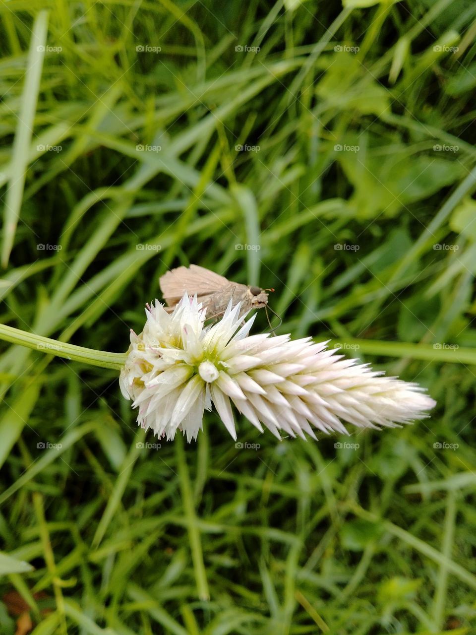 I am student please 🙏 support me.