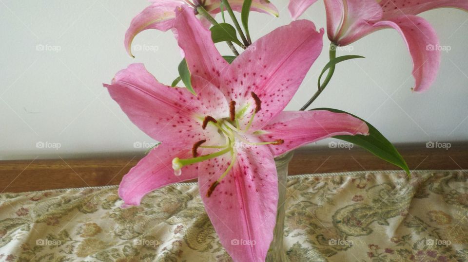 fresh lilies. couldn't pass these up without smelling and taking a picture.