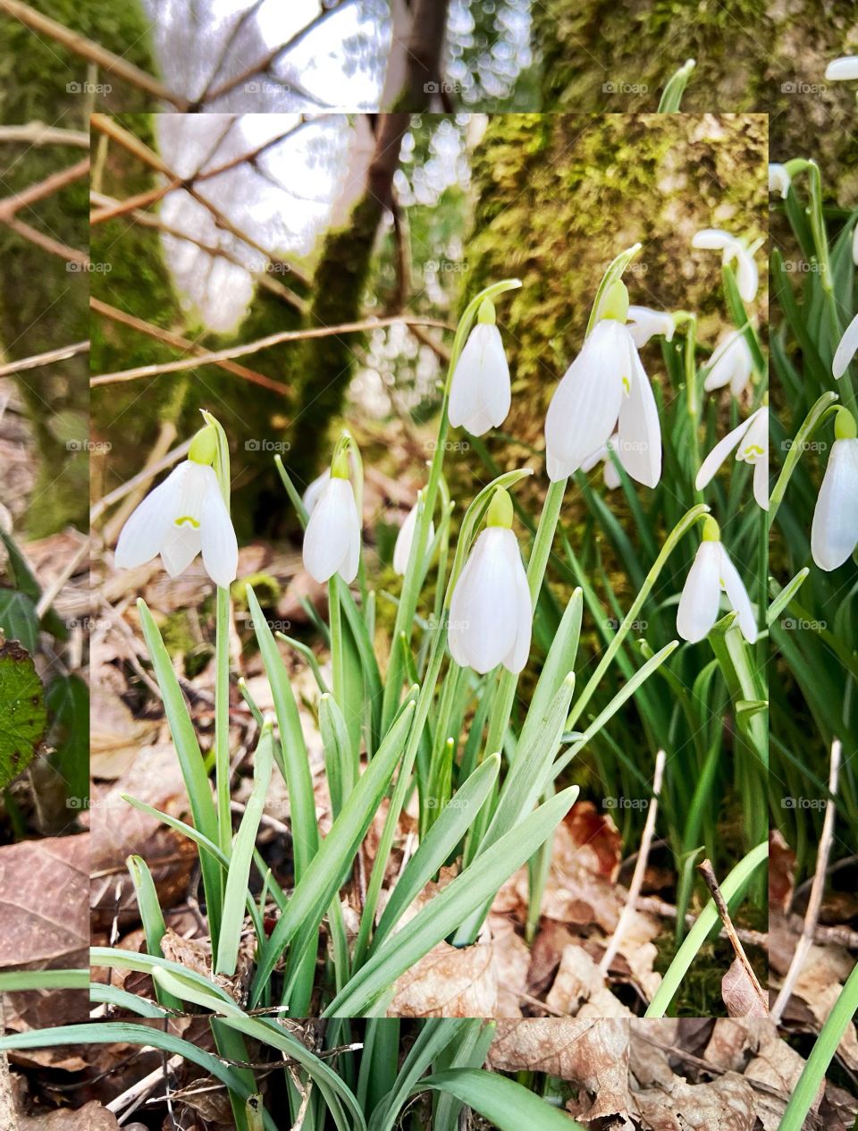 Peace, Colour and Freedom - What We Need During Lockdown 2021 - Finding who you are within lockdown is something I have learned to do! I’ve learned that I really do love being out in the open, the fresh air and I am able to just breathe! ❤️