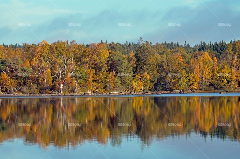 Fall reflections