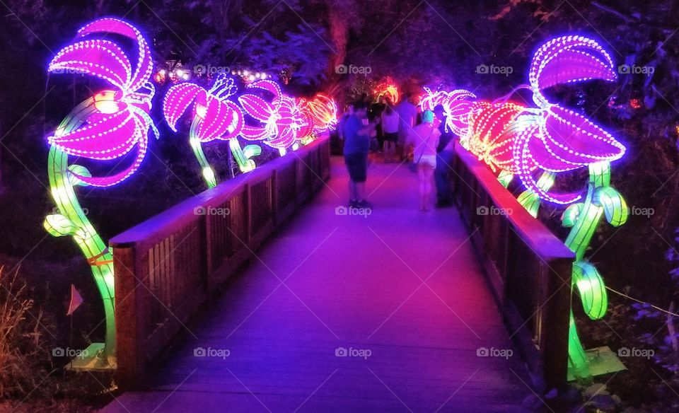 ILLUMINATION of Lights