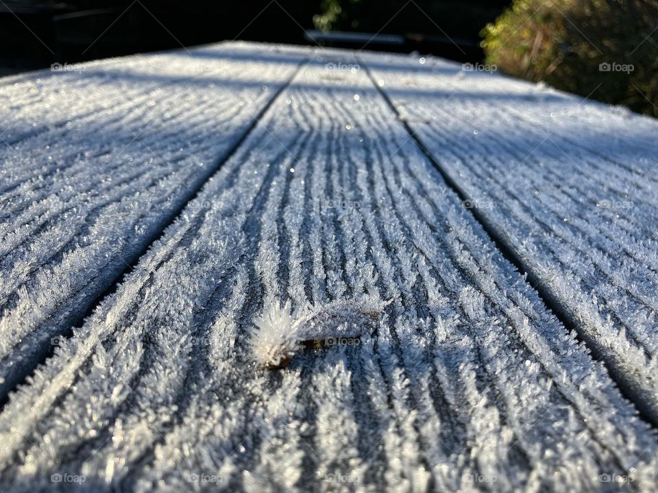 A little sycamore seed on a garden table top covered in a heavy frost 