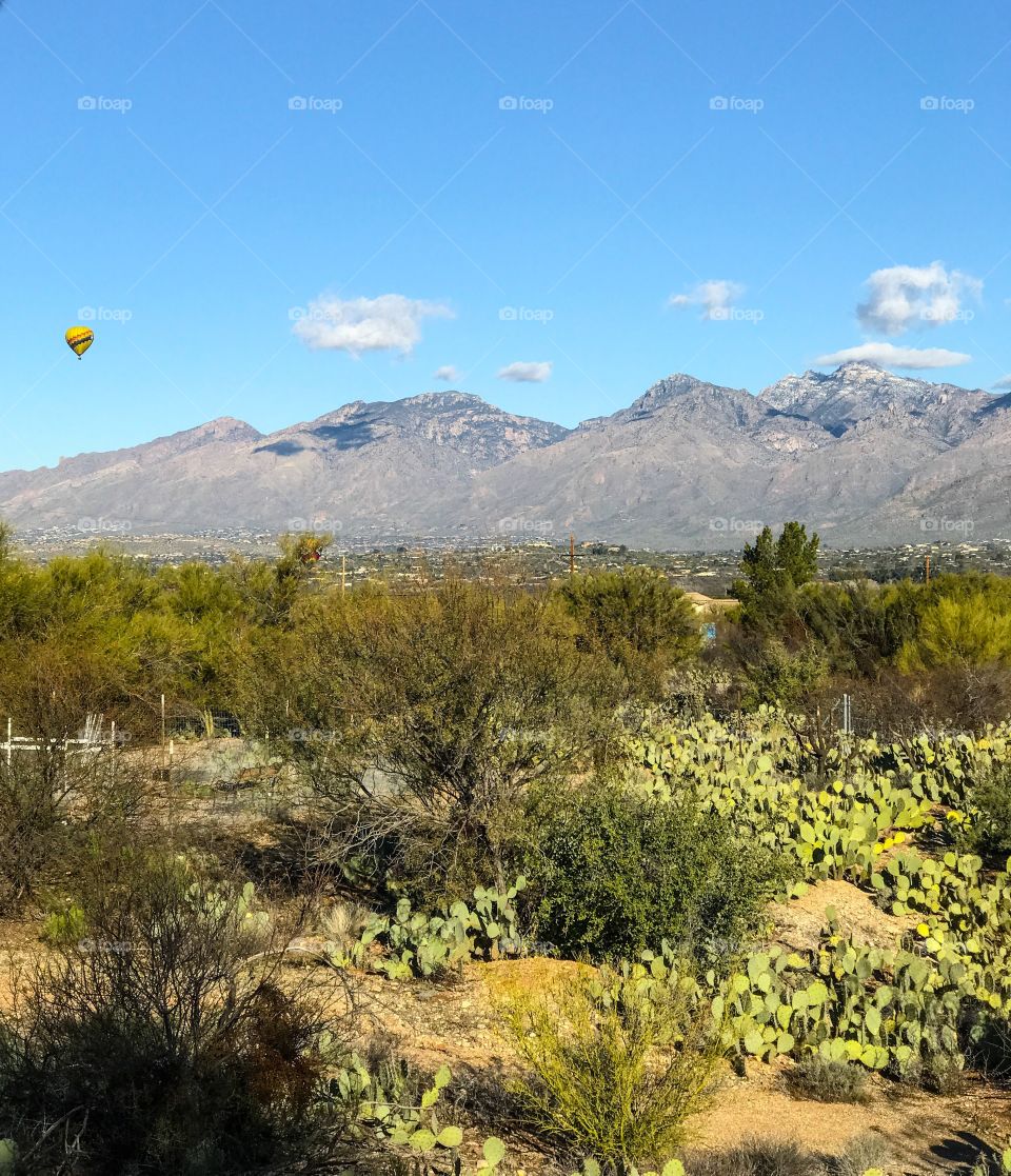 Nature Mountain Landscape 