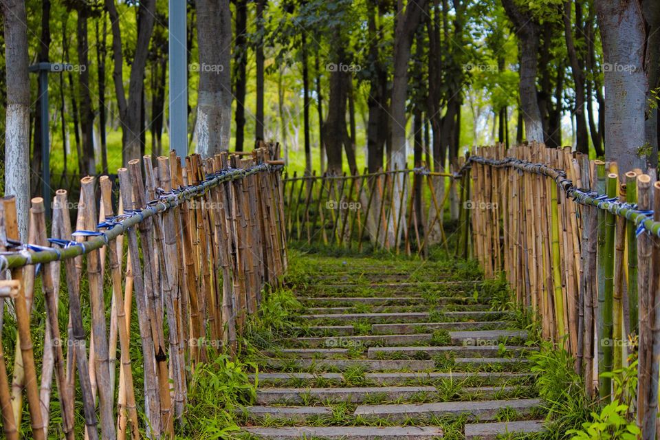 The green path to nature .Wooden bar.
