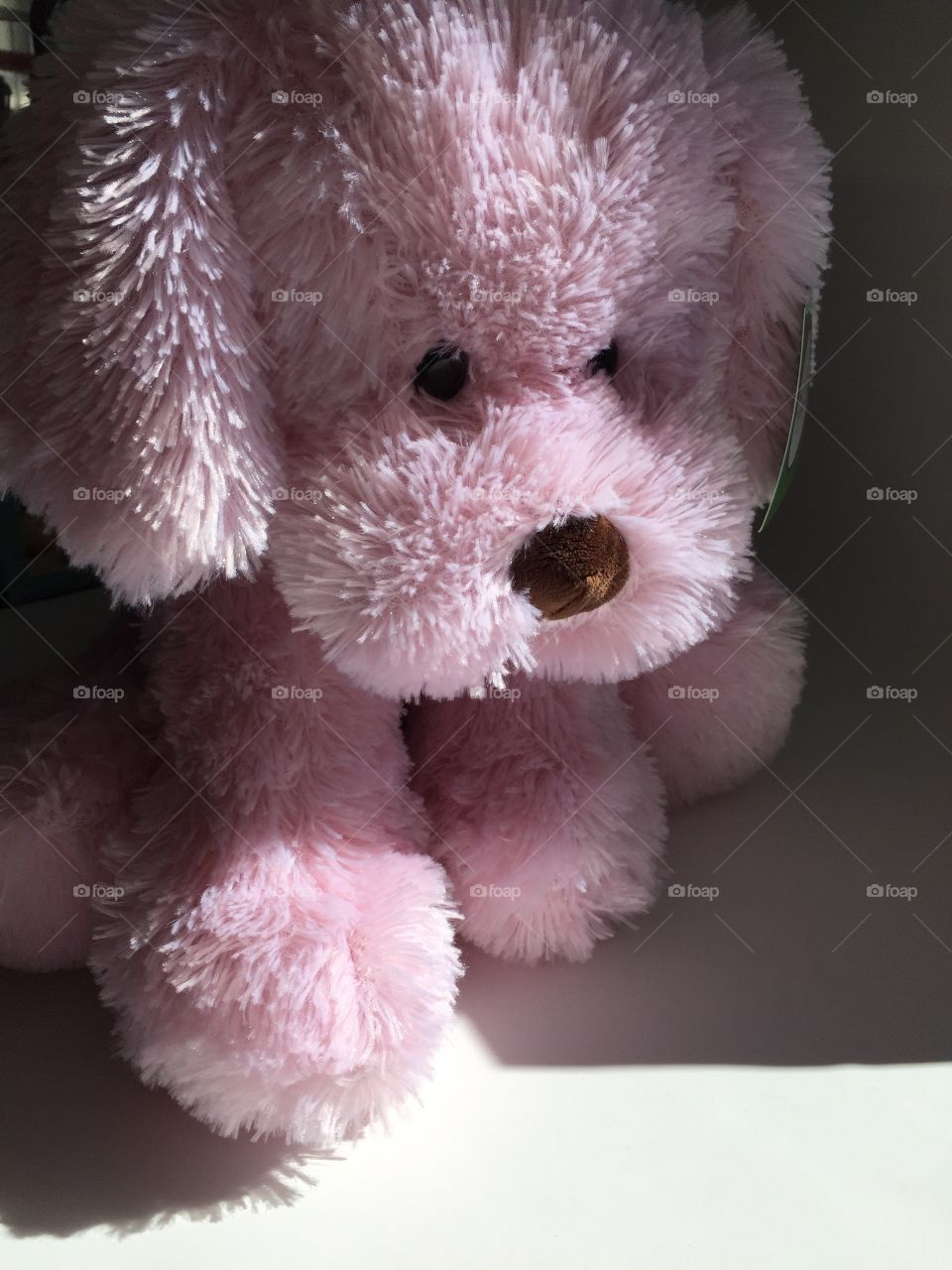 Curious shy stuffed puppy dog