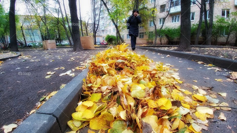 Autumnal walk.