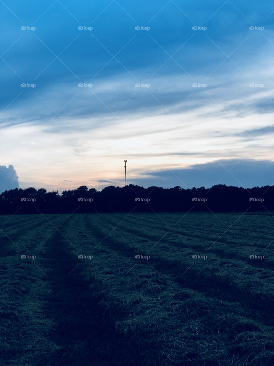 Sunset on a mowed field 