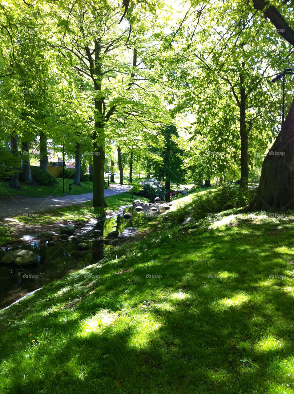 landscape green spring nature by asa