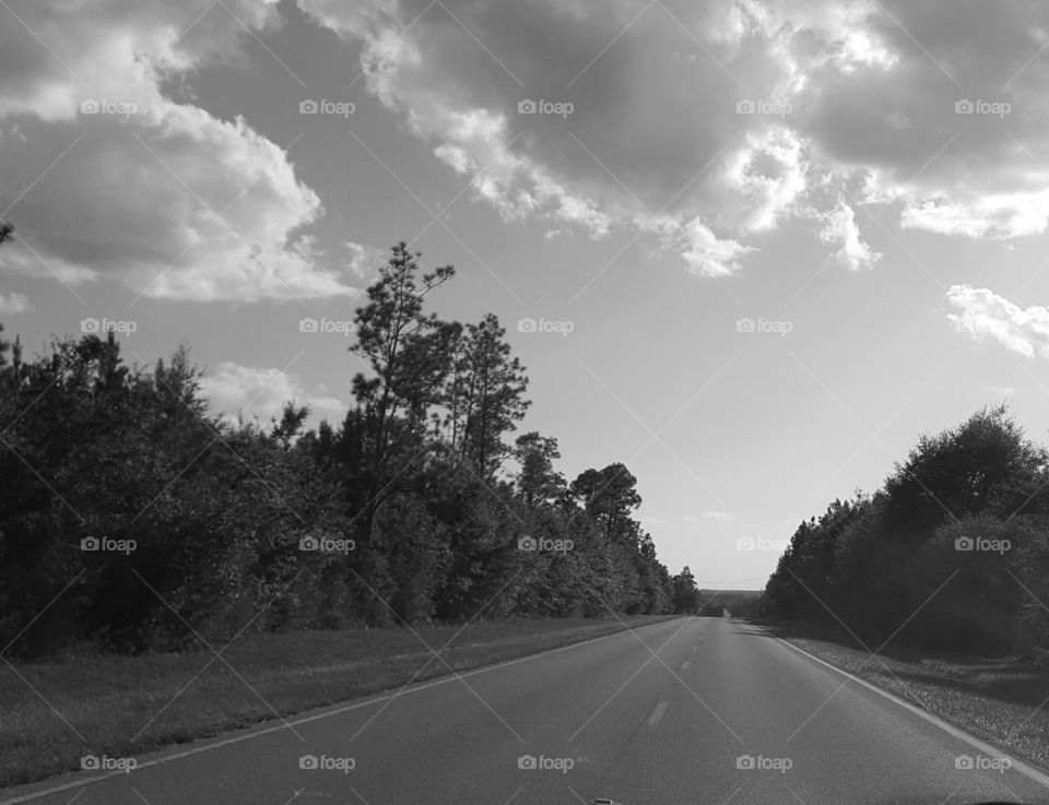 country drive grayscale