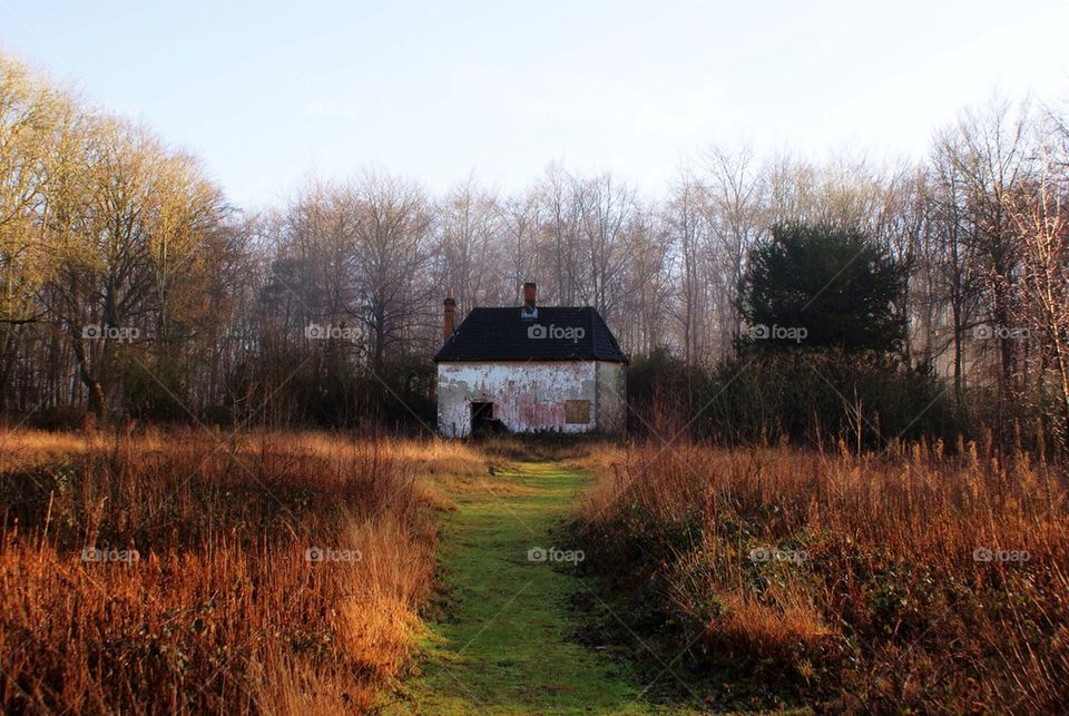 House in the woods