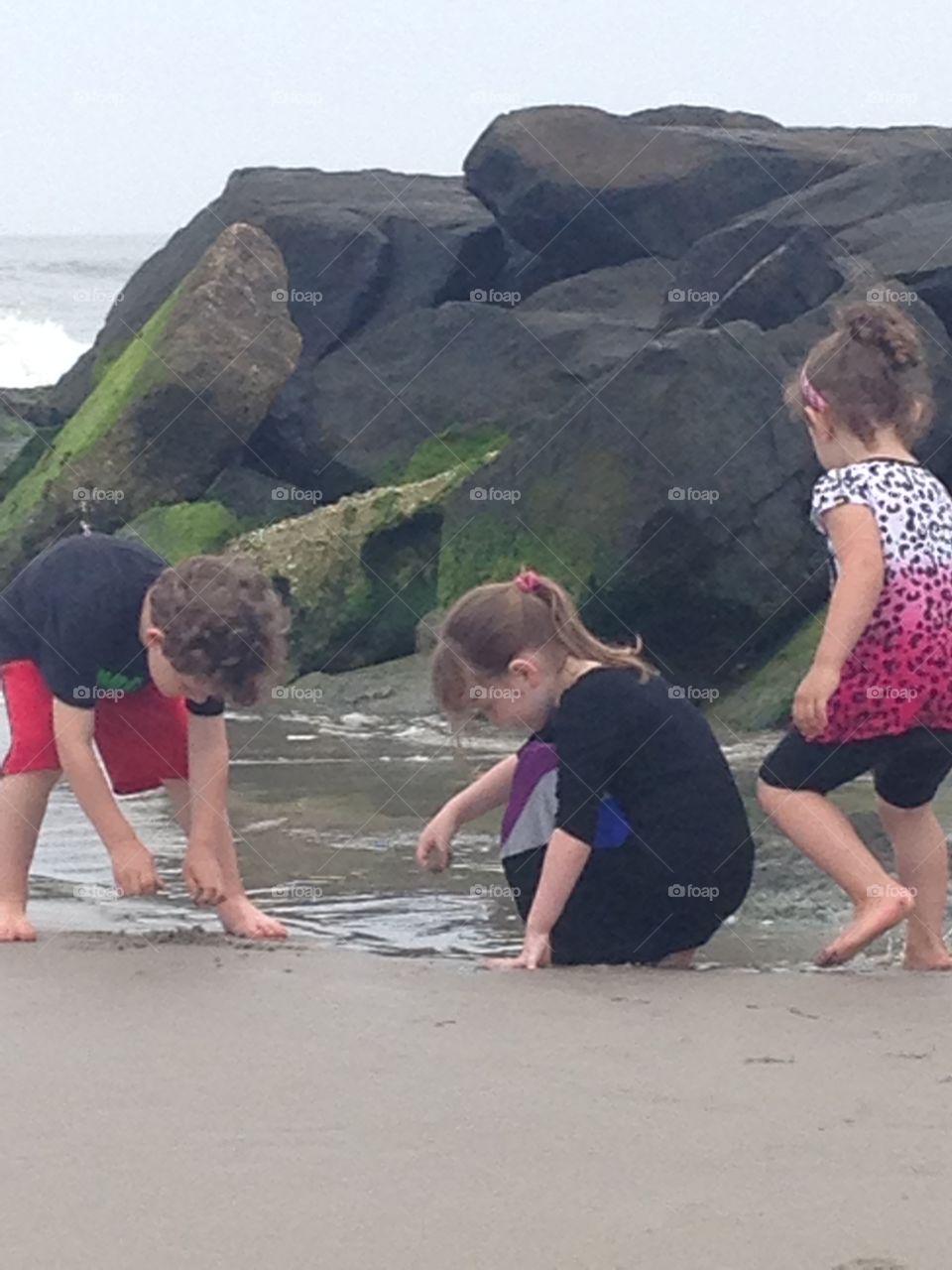 New discoveries . Finding and discovering new treasures on the beach 