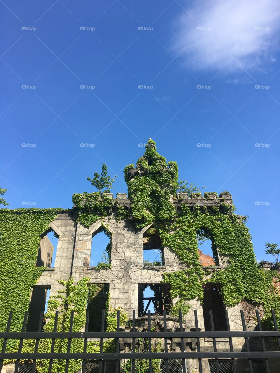 Tb hospital ruins with blue sky and greenery growing over structure point of view 1
