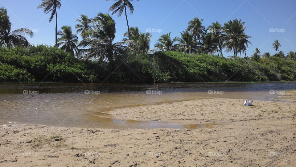 North coast of Bahia