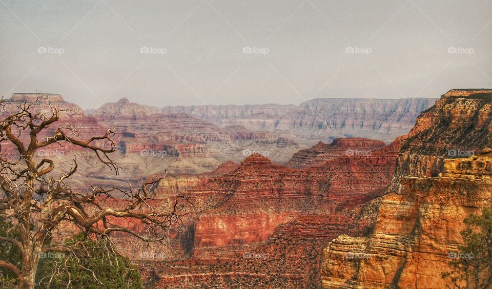 In general, the Grand Canyon is red. Can be found lots of minerals, most containing Iron.