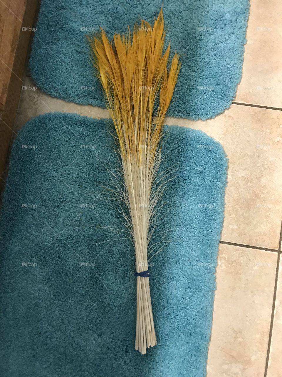To tie dye white peacock feathers