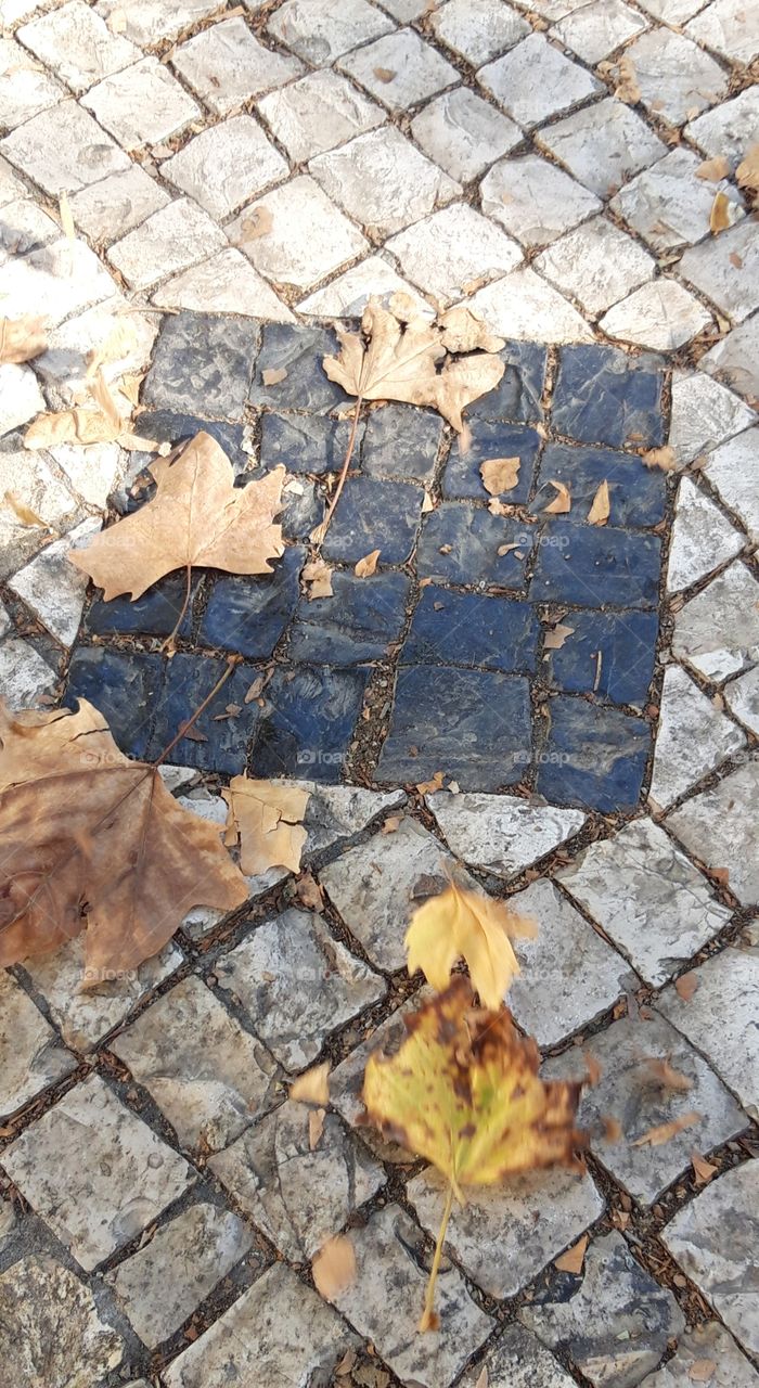 Last days of August in Lisbon