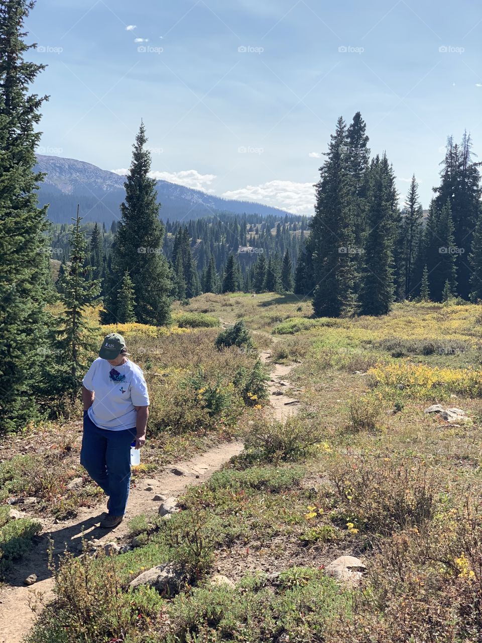 Walks in the forest in the mountains