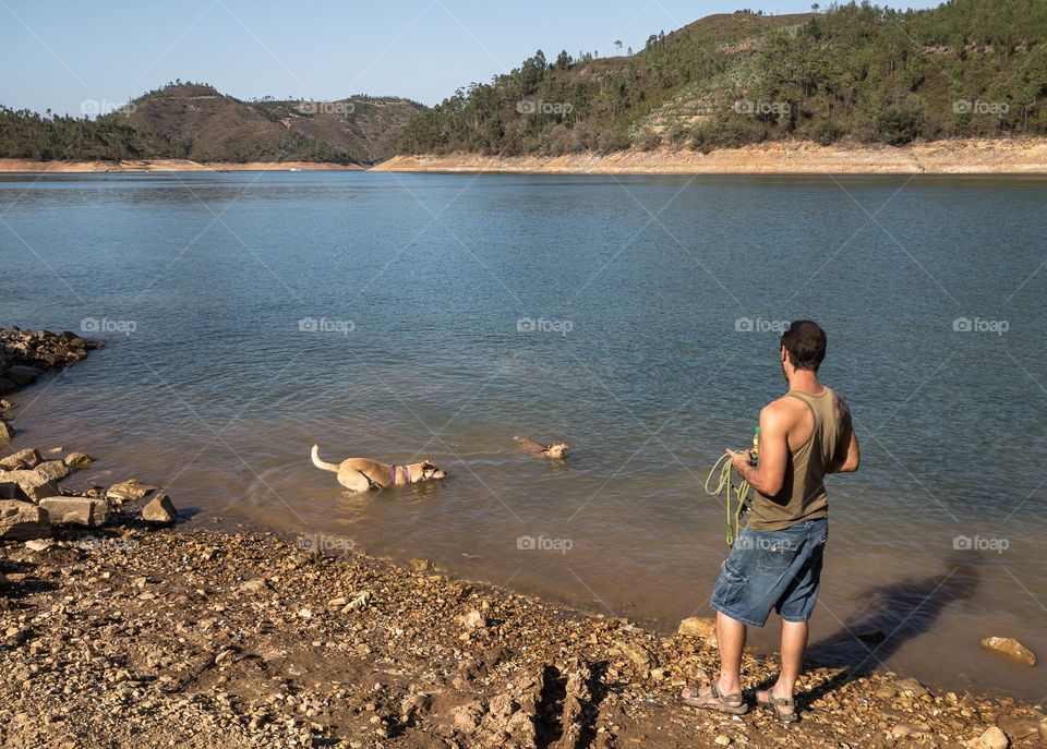 Two dogs take a dip in the river while on a summer’s day walk with their owner