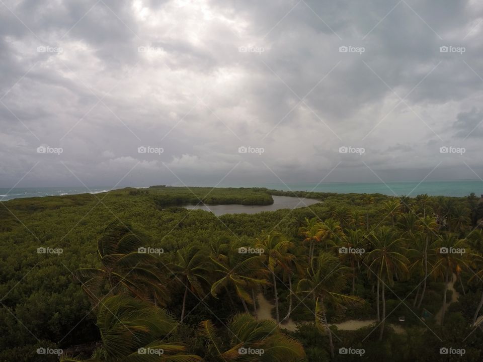 stormy cloud over palm trees