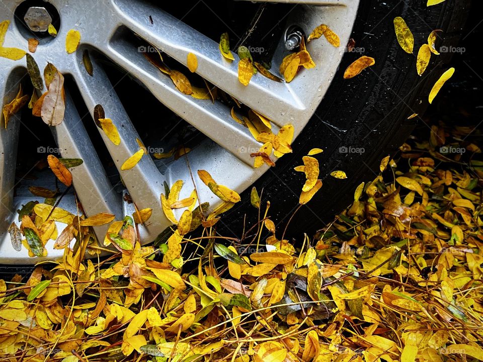 The wheel and the falling leaves