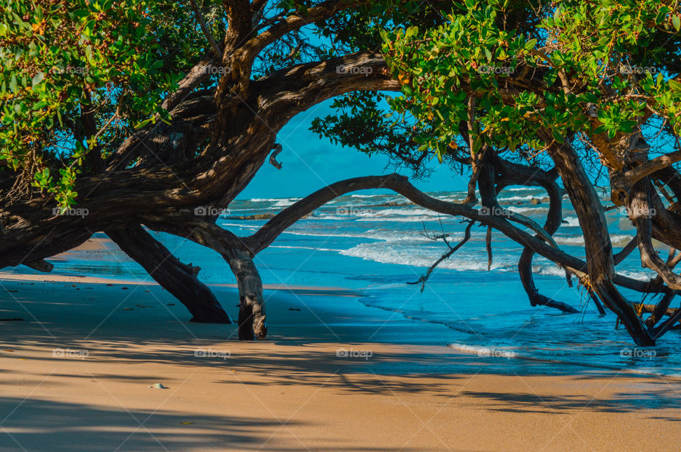 Cumuruxatiba Bahia Brasil 🇧🇷