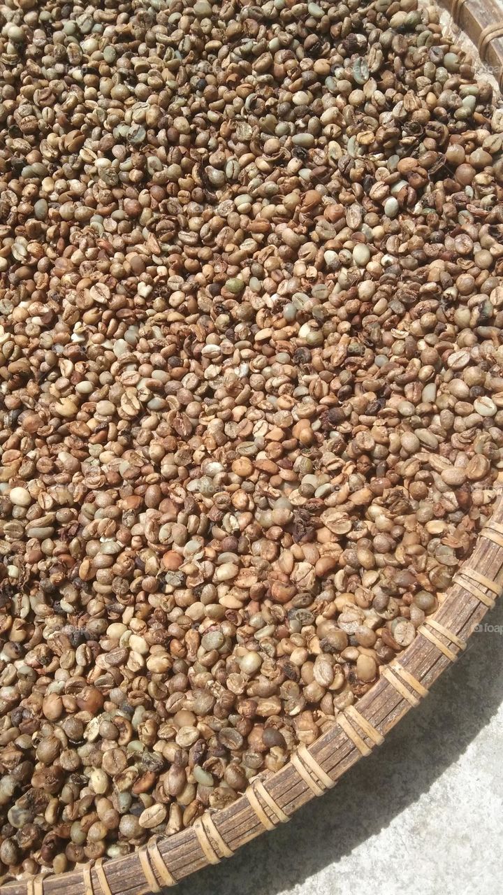 Coffee beans drying down the sun