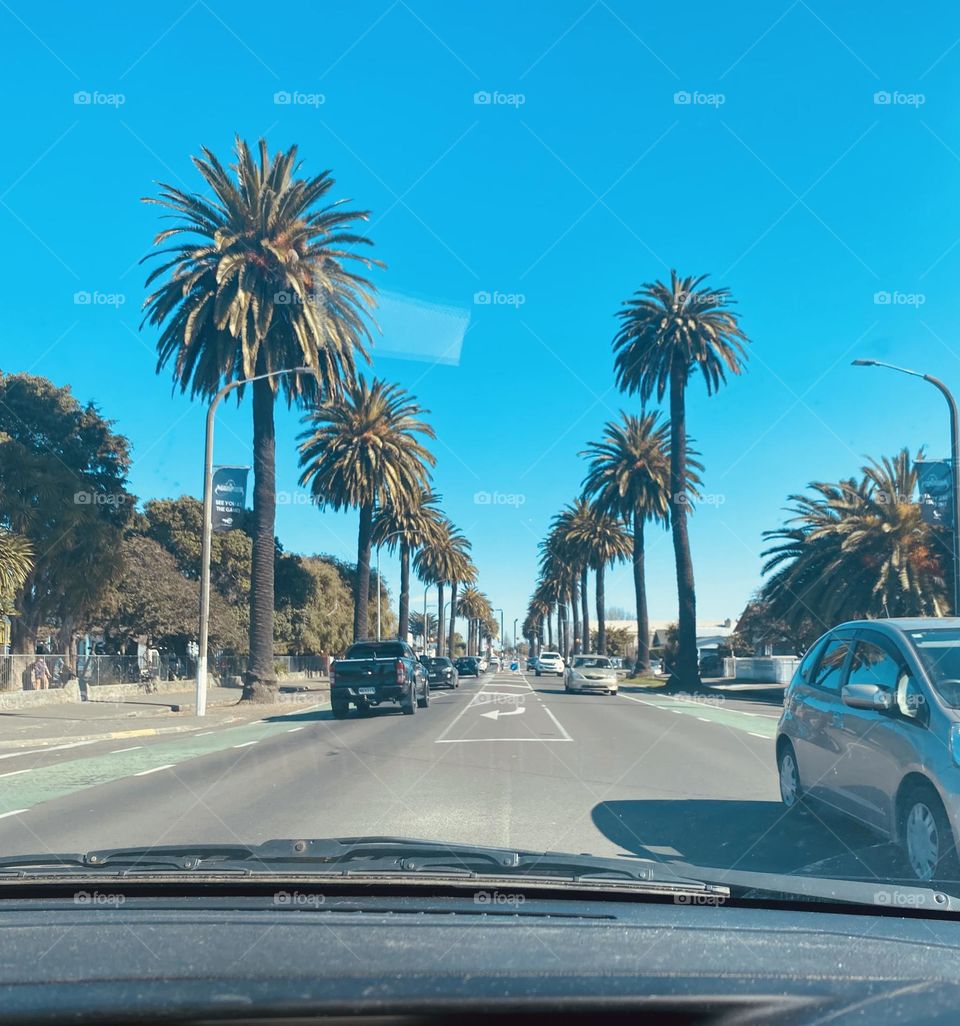 Sunset boulevard NZ styles