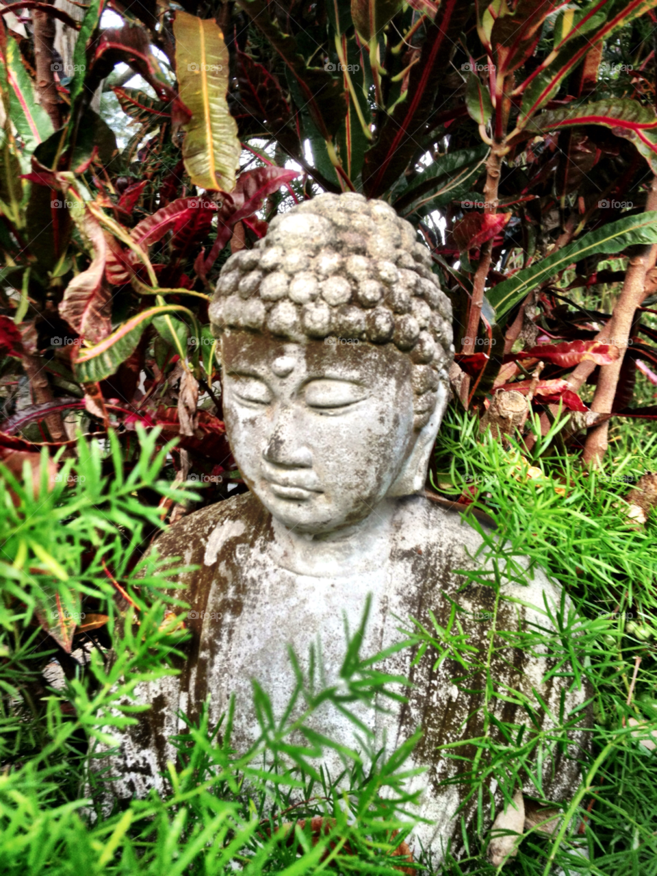 garden statue buddha calm by bcpix